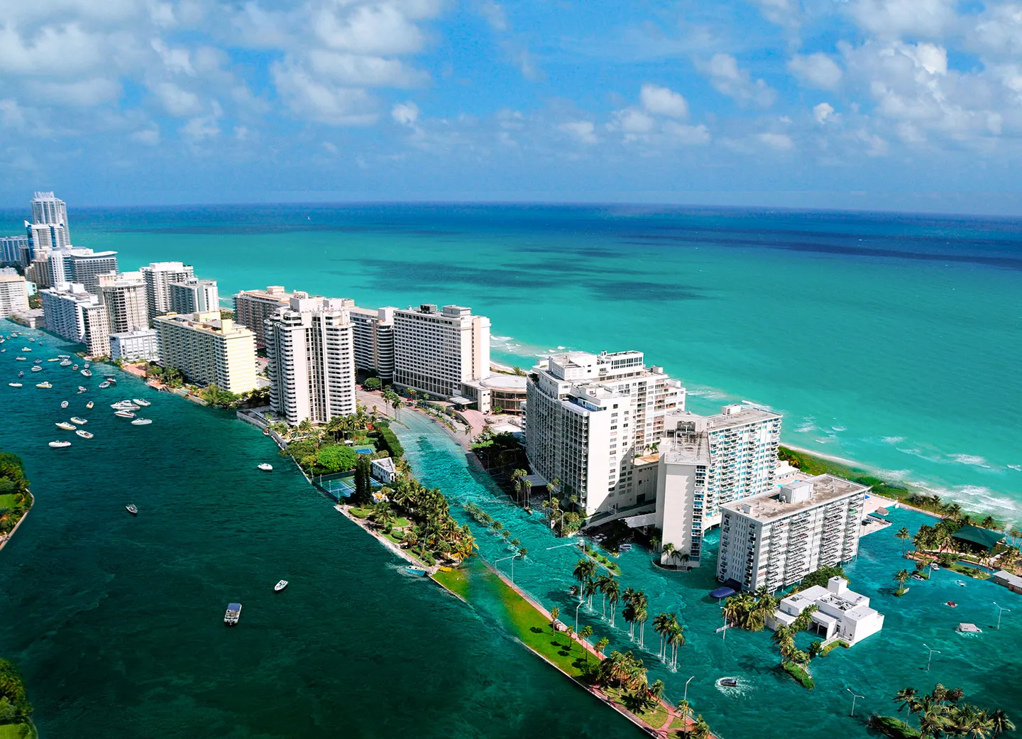 The Transformative Influence of Miami Impact Windows on Coastal Living