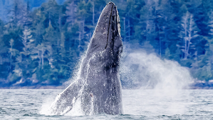 Captain Gary’s Sitka Adventures
