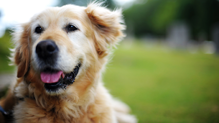Animal Medical Clinic of Prattville, LLC