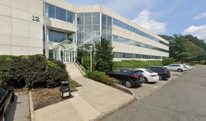 Lyneer Staffing Solutions